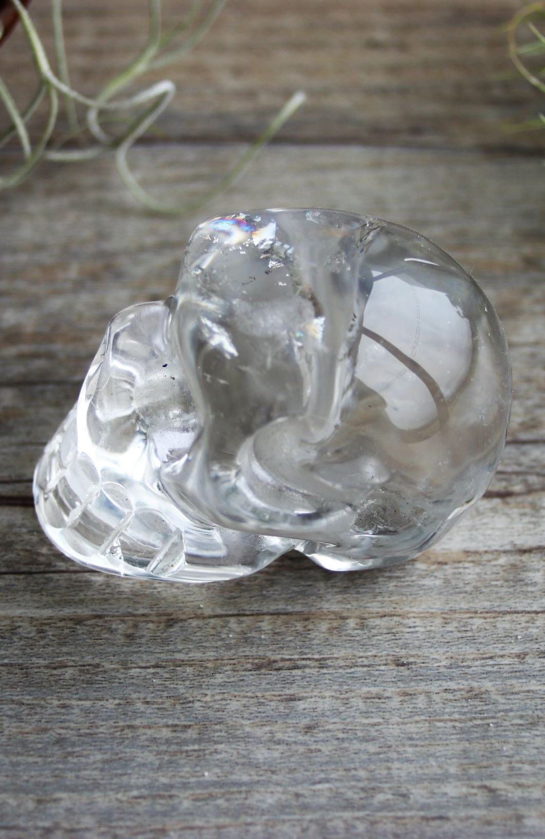 Clear Quartz Skull